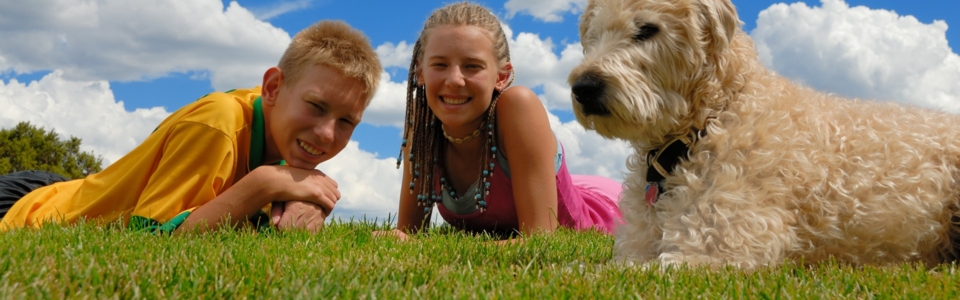 Introducing Your Pet to a New Home: A Step-by-Step Guide