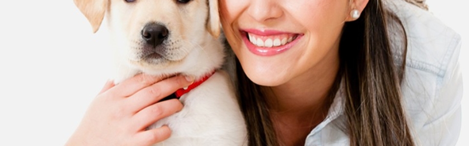 How to Choose the Right Veterinarian for Your Pet