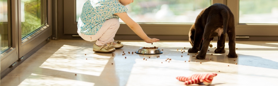 Top-Rated Pet Products Our Members Are Loving in 2026