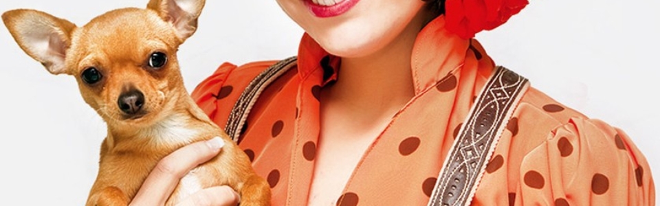 How to Get the Most Out of the Your Pet's List Directory